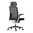 Match-Chair-Medium-Back-Mesh-W17M-with-Headrest-W17Head-3-scaled-1.jpg