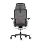 Match-Chair-Medium-Back-Mesh-W17M-with-Headrest-W17Head-4-scaled-1.jpg